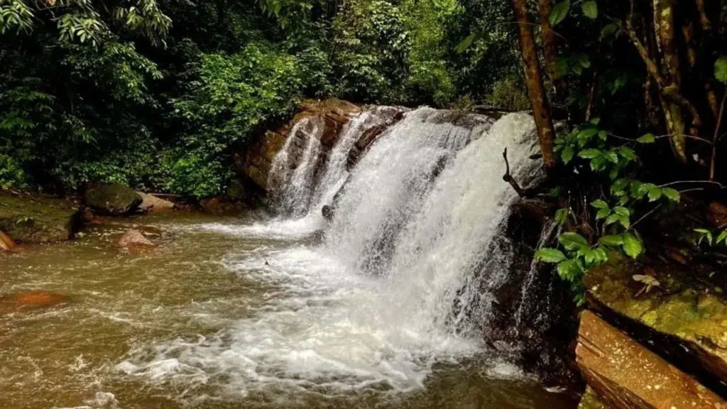 Netravati Peak Waterfall