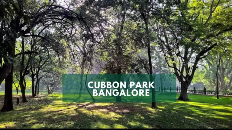 Cubbon Park Timings, Entry Fee, Toy Train, Tickets and Sunday Hours