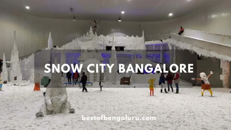 Snow City Bangalore: Ticket Price, Timings, Age Limit, Photos and Review