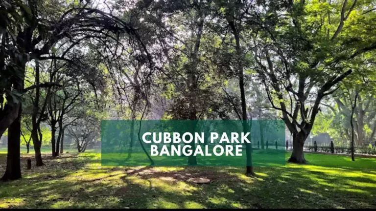 Cubbon Park Bangalore