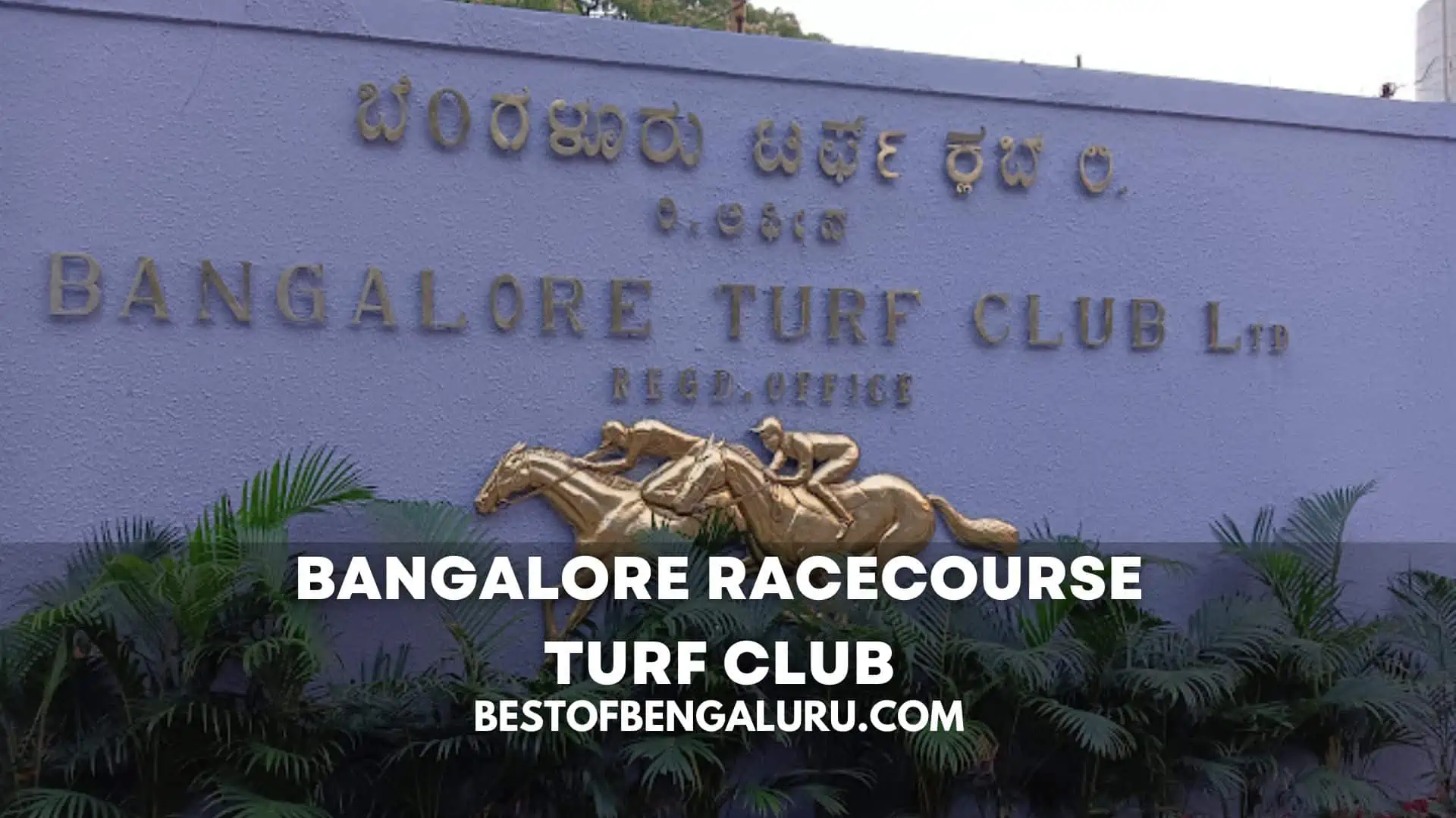 bangalore-racecourse-turf-club-schedule-timing-events-ticket-price