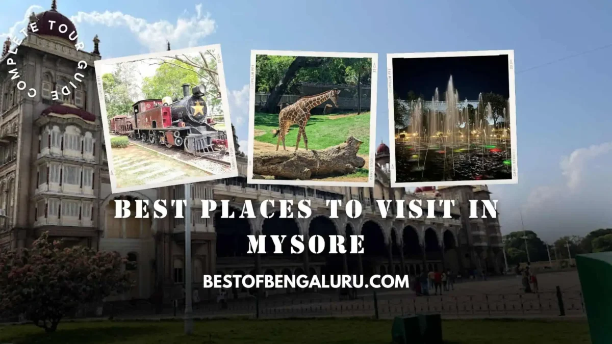Best Places to Visit in Mysore, Palaces, Zoo, Museum, Temples, Gardens, Waterfalls
