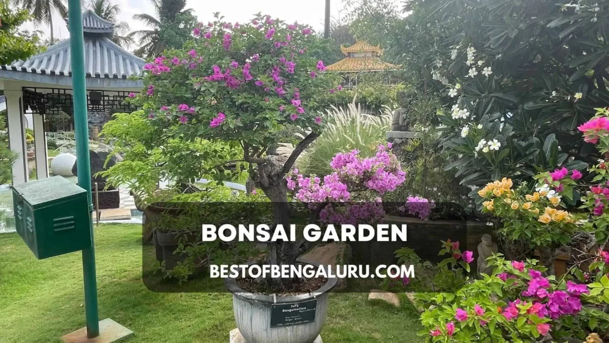 Best places to visit in Mysore - Bonsai Garden Mysore