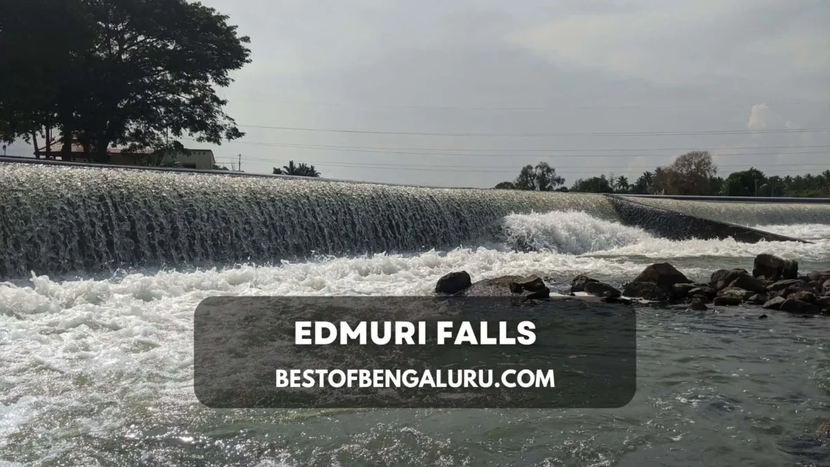 Best places to visit in Mysore - Edmuri Falls