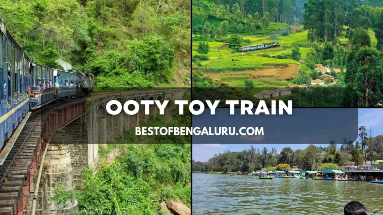 Ooty Toy Train Booking, Ticket Price, Timings, Route, Package