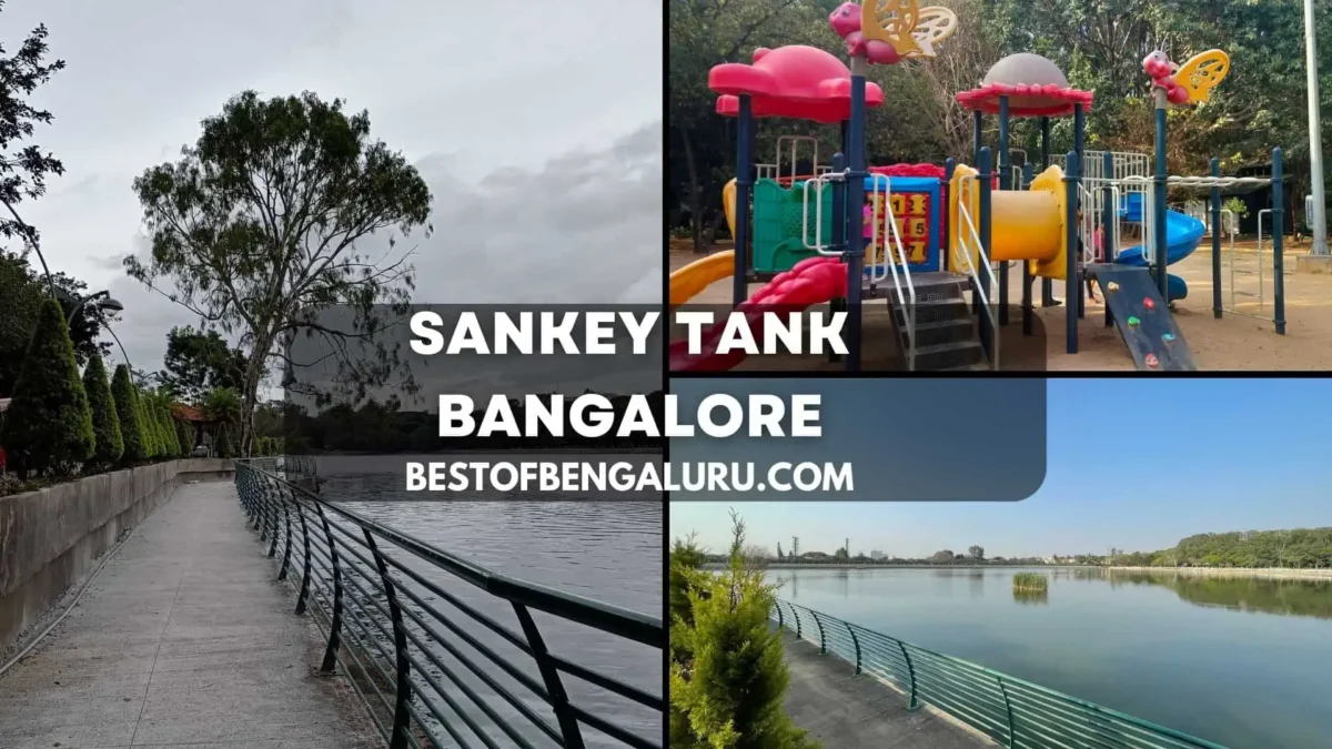 Sankey Tank Bangalore Timings, Entry Fees, Things to Do, How to Reach