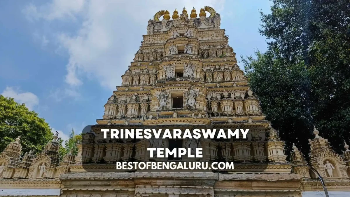 Best places to visit in Mysore - Trinesvaraswamy Temple Mysore