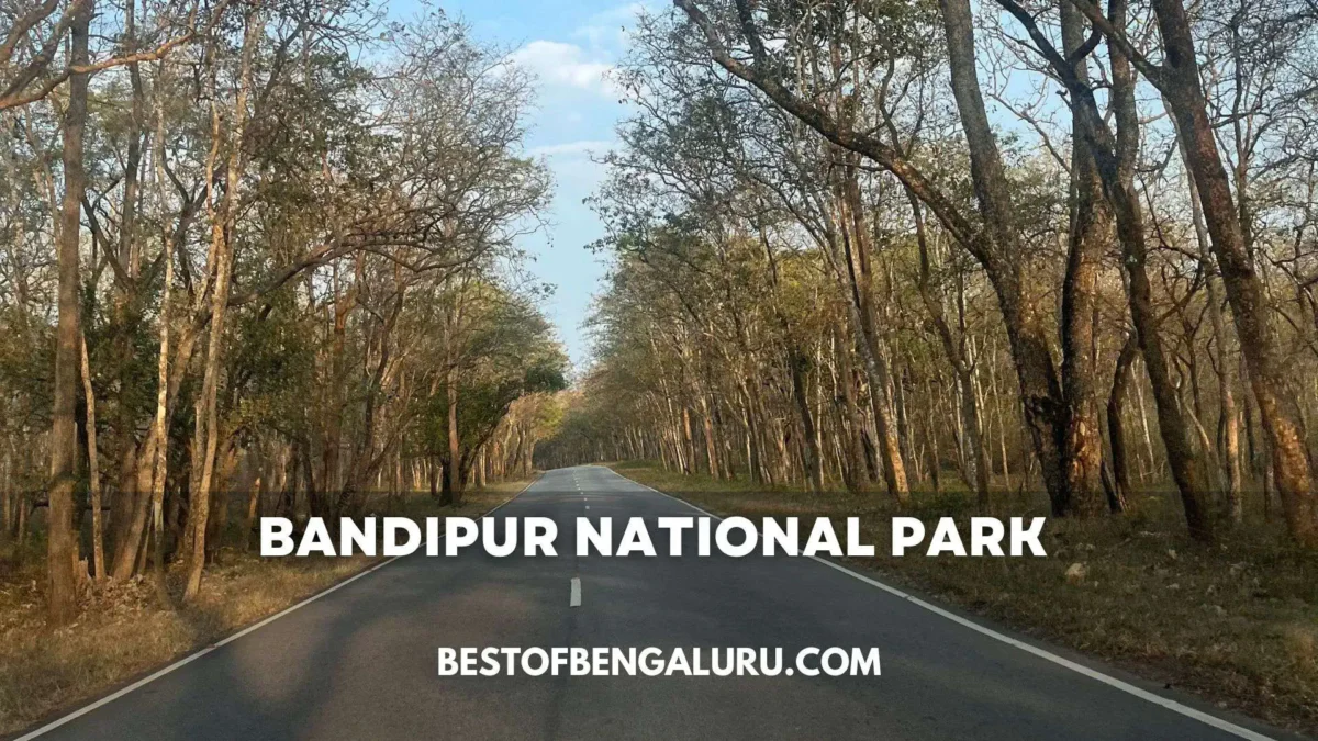 Bandipur National Park