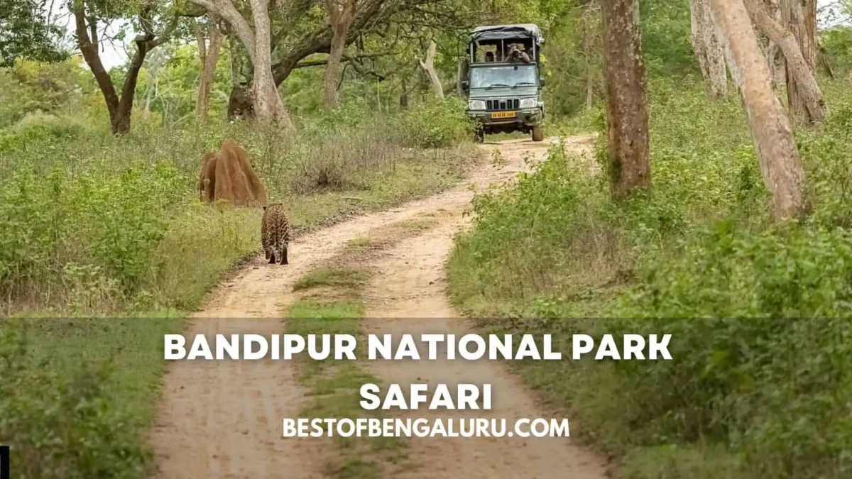 Bandipur National Park Tiger Safari Gypsy