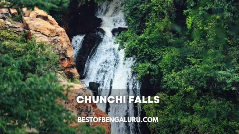 Chunchi Falls From Bangalore Distance, Entry Fee, Address, Best Time to Visit