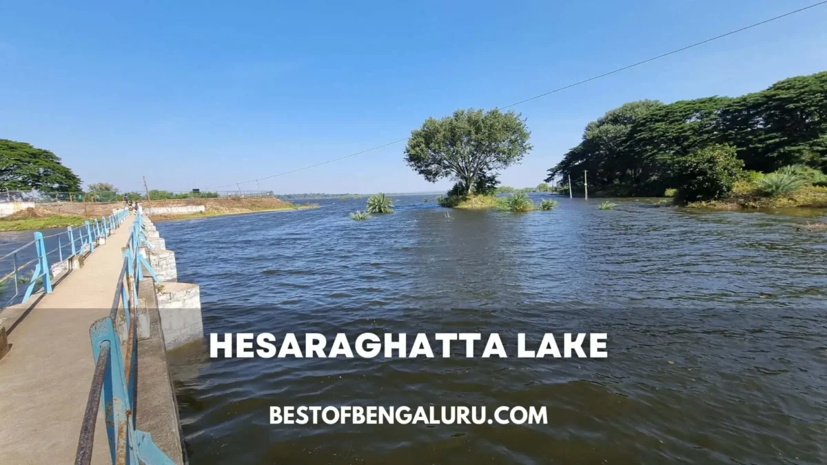 Unique Places to Visit in Bangalore - Hesaraghatta Lake
