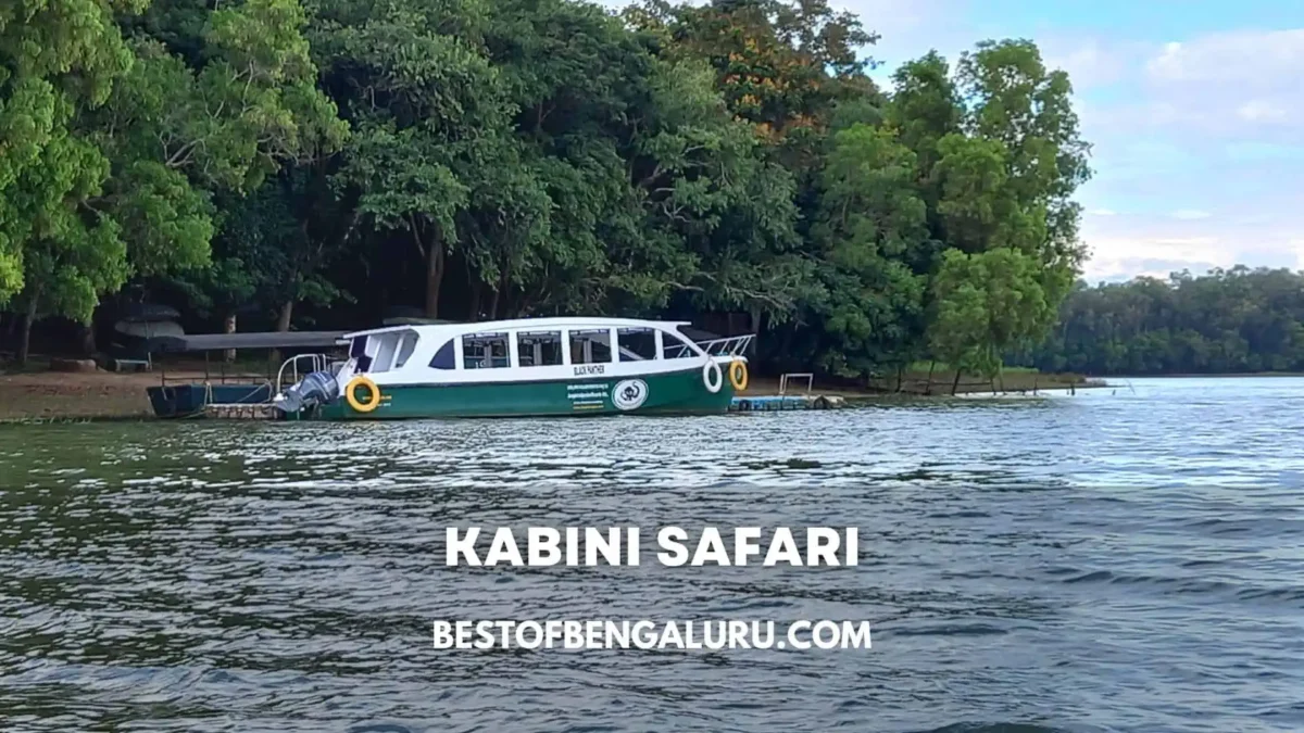 Kabini Safari Boat Ride