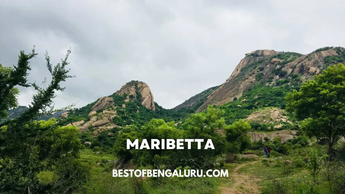 Unique Places to Visit in Bangalore - Maribetta