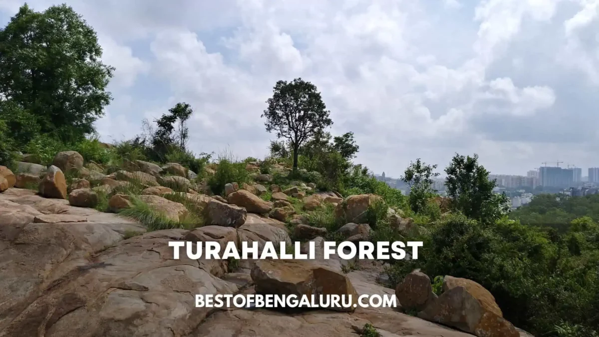 Unique Places to Visit in Bangalore - Turahalli Forest