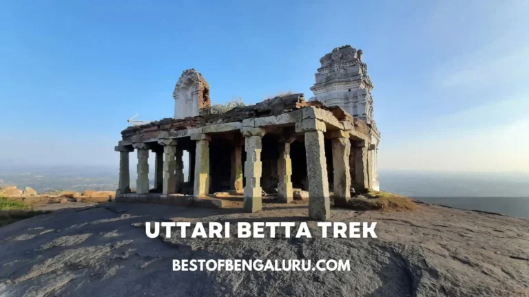 Uttari Betta Trek From Bangalore Distance, Timings, Entry Fee, Permission, Route